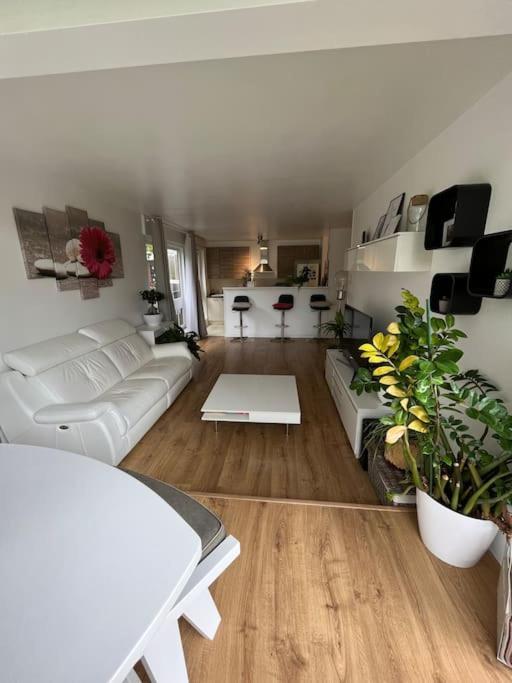 Appartement 55 M2 Le Chesnay Le Chesnay  Exteriör bild